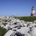 lighthouse_island_seal_machias_h_3007_can1656.jpg